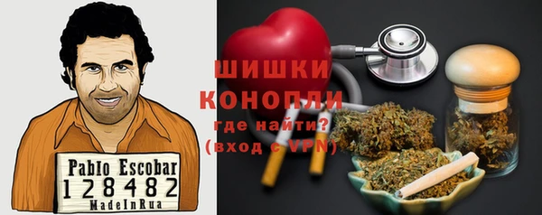 индика Навашино