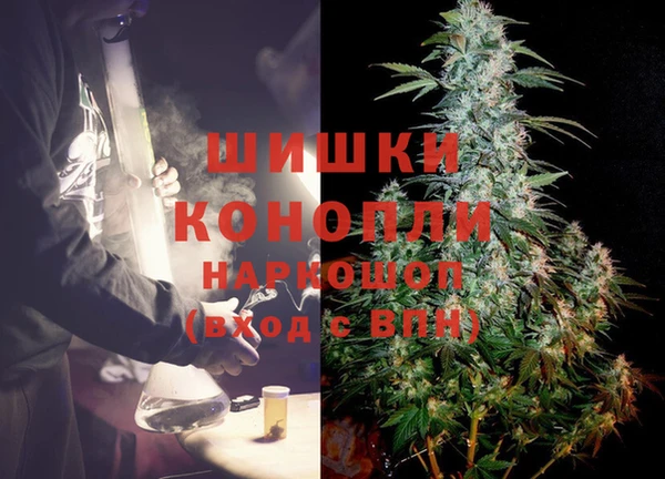 индика Навашино