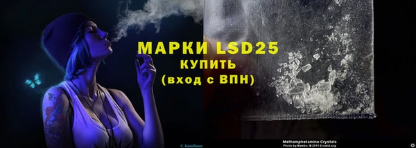 трава Надым