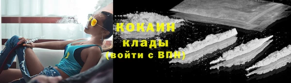apvp Иннополис