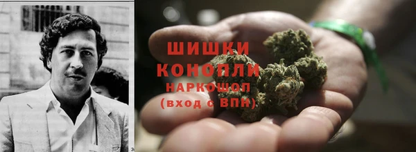 индика Михайловск