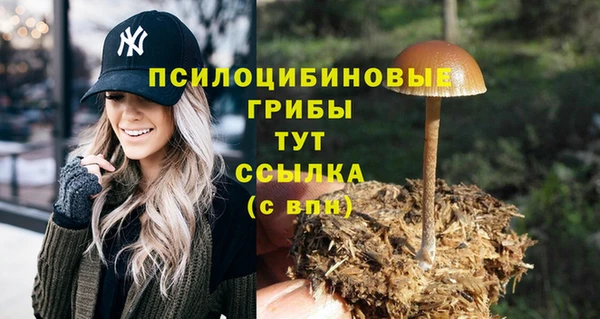 трава Надым