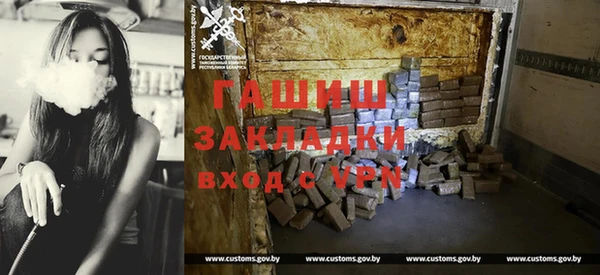 индика Михайловск