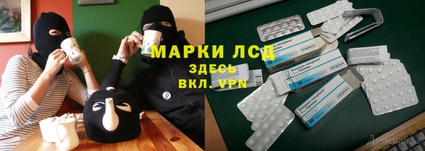 индика Михайловск