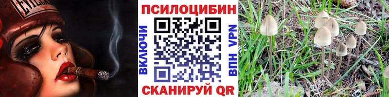 Псилоцибиновые грибы Psilocybe  Нижние Серги 